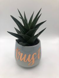 Trust_Plant